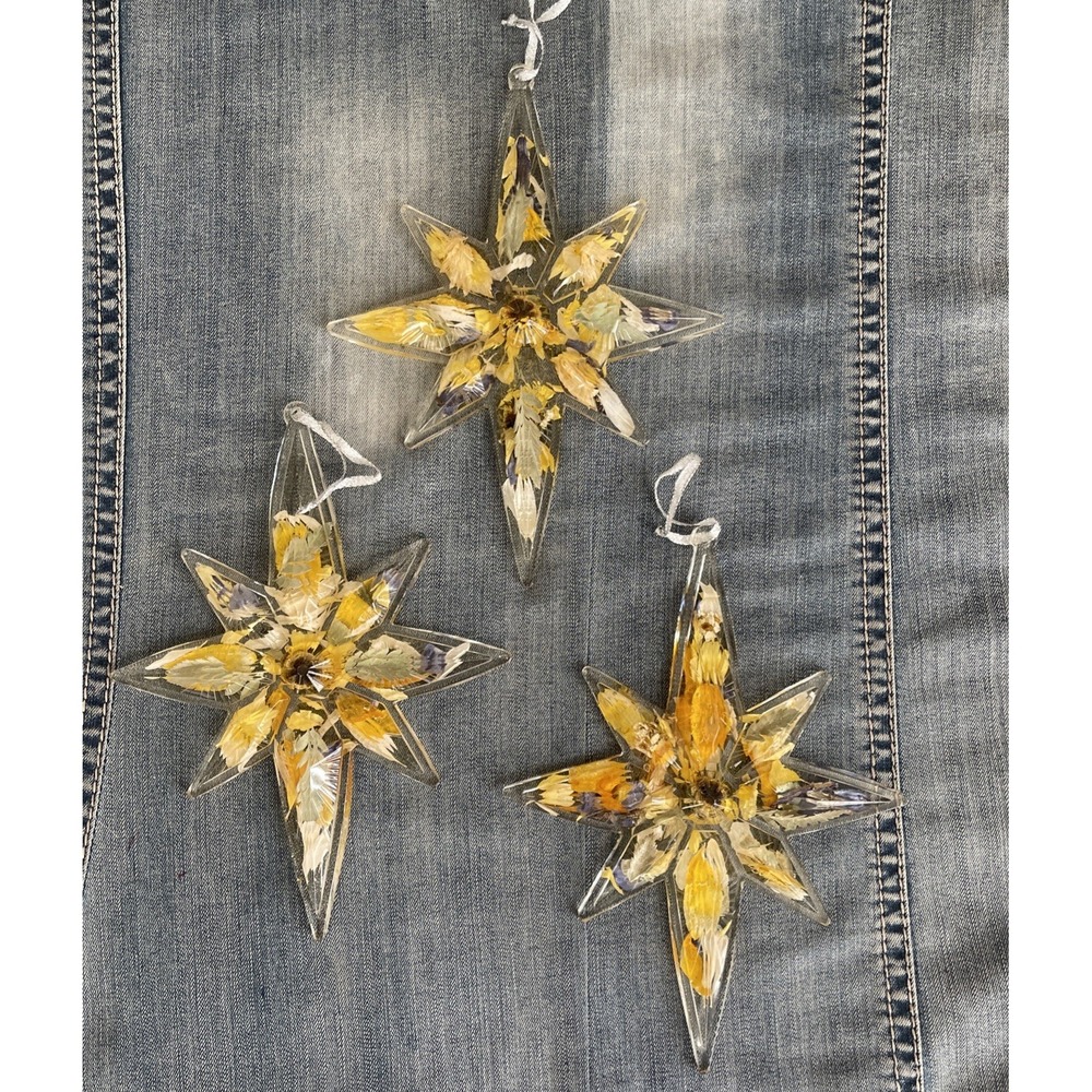 Vintage Acrylic Star Ornaments  Christmas Preserved Flowers Dried Atomic Lot 3